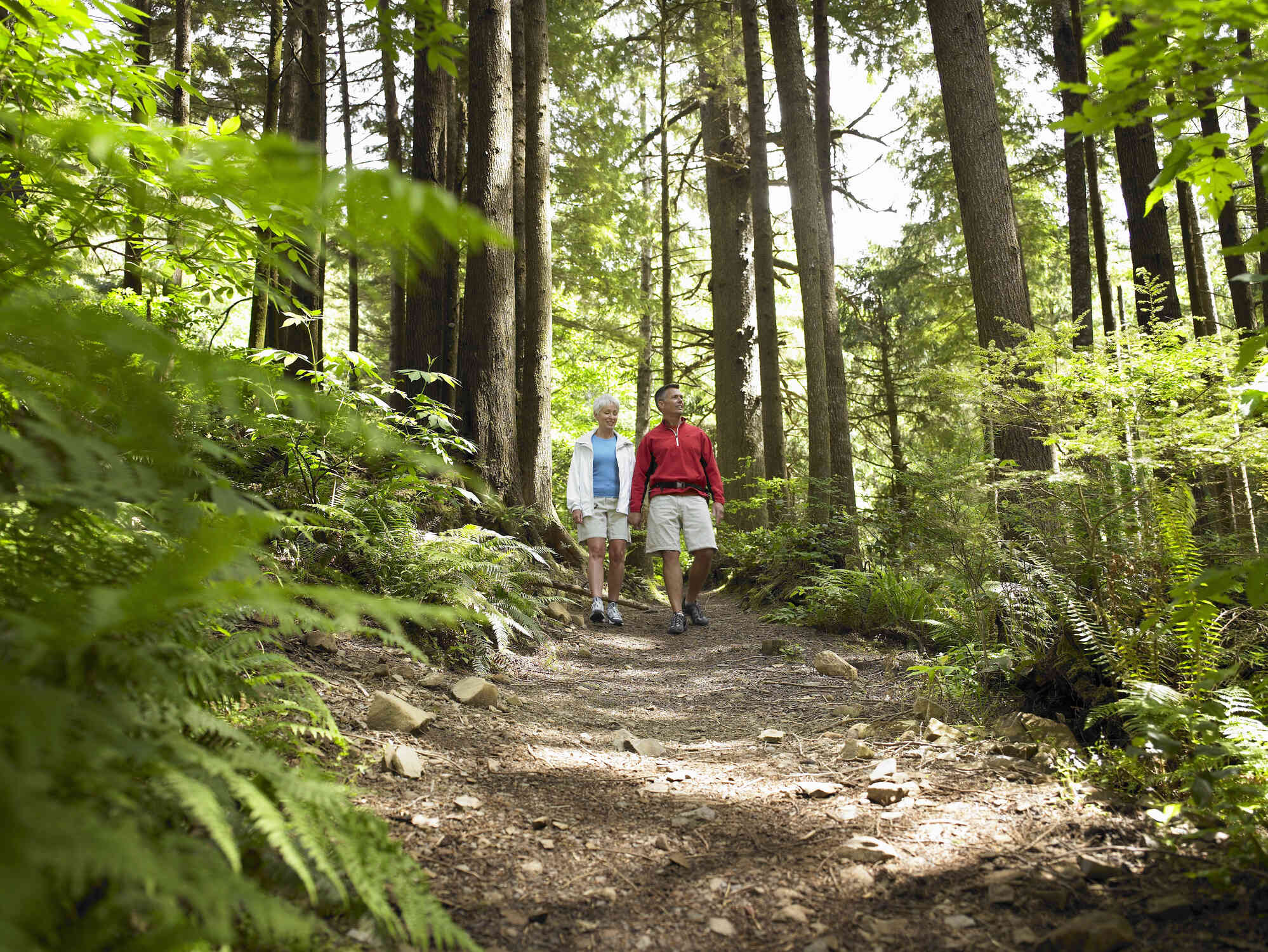 A middle aged man and woman go for a nature walk on a trail on a sunny day.