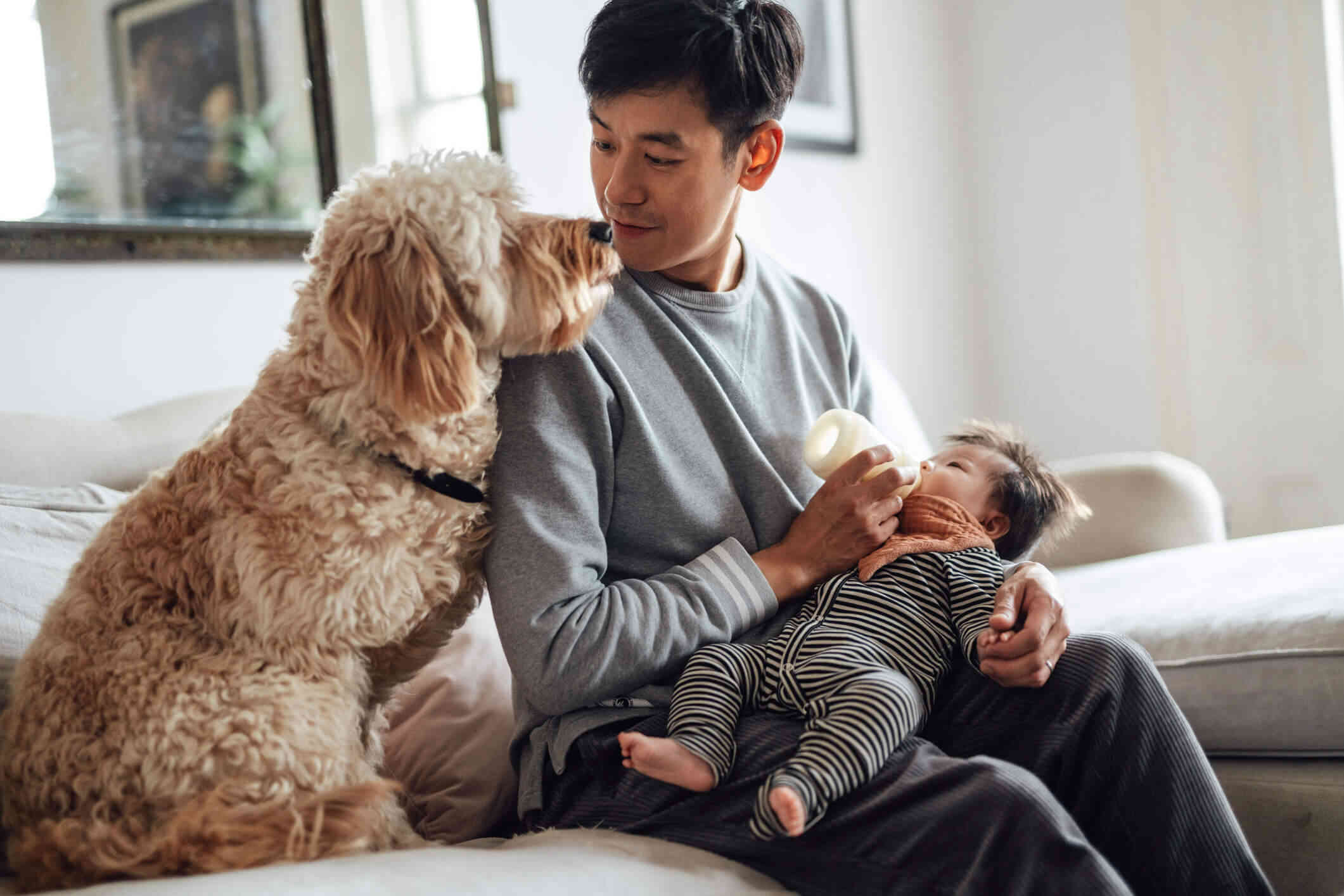 A dad feeds his newborn baby from a bottle while looking at the dog that sits next to him with a smile.